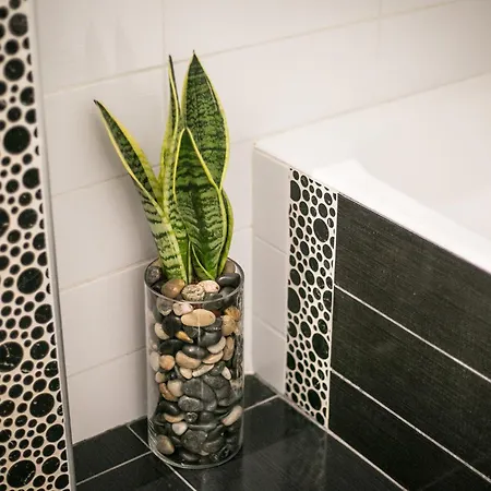Apartamento Magnolia Tríkala